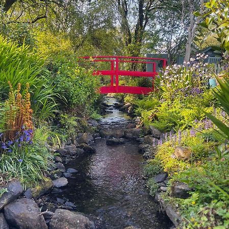 Streamside B And B With Parking Drimoleague 외부 사진