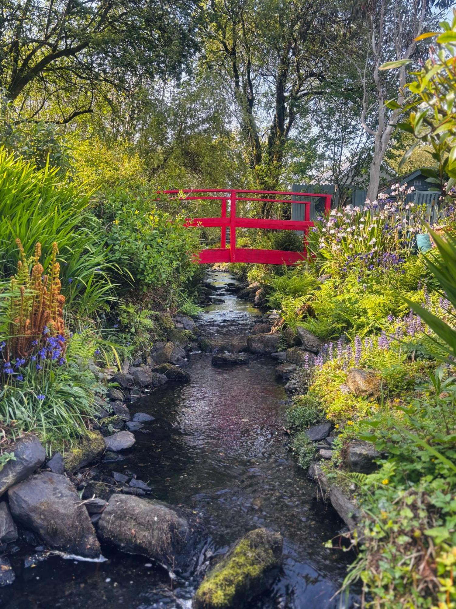 Streamside B And B With Parking Drimoleague 외부 사진